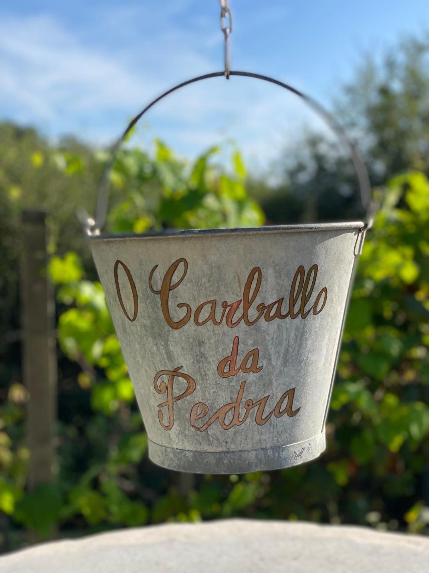 Casa Rural O Carballo Da Pedra Ла-Каньиса Экстерьер фото